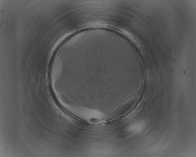 X0000073391331200608251424