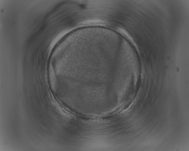 X0000073391336200608251424