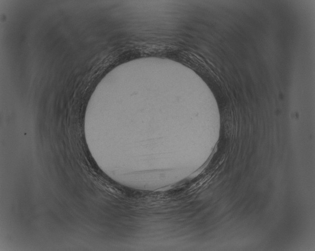 X0000073391345200608251424