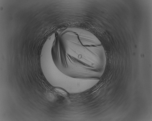 X0000073391346200608251424