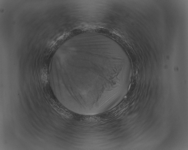 X0000073391348200608251424