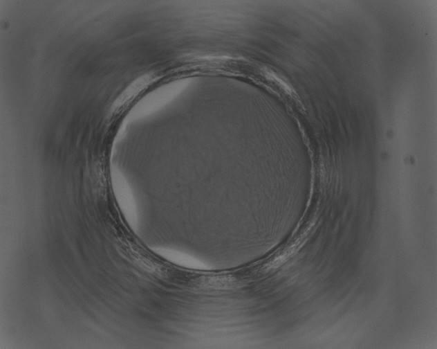 X0000073391354200608251424