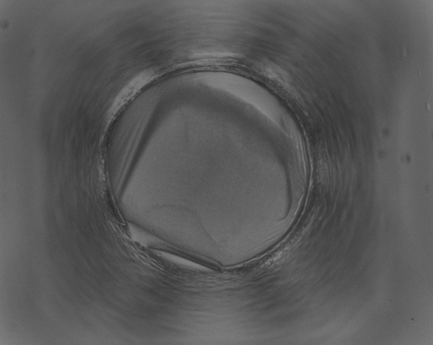 X0000073391362200608251423