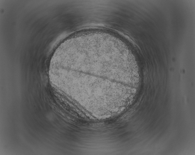 X0000073391363200608251423