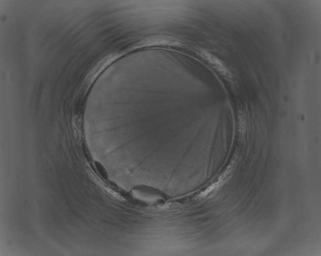 X0000073391369200608251423