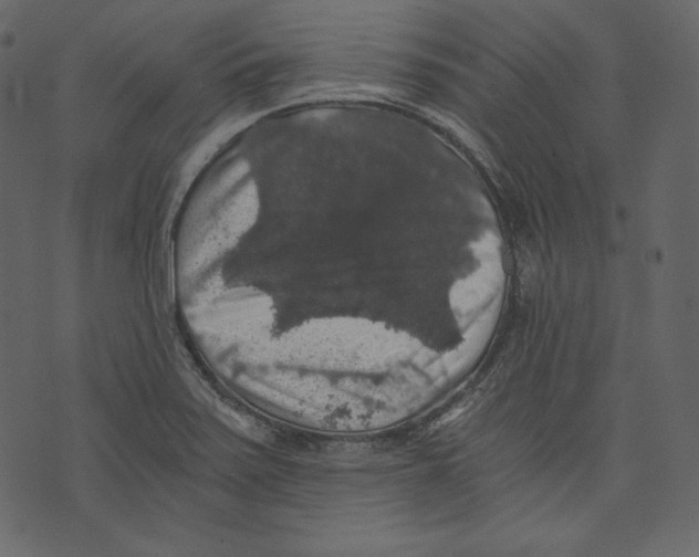 X0000073391371200608251423