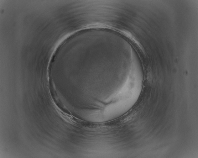 X0000073391372200608251423