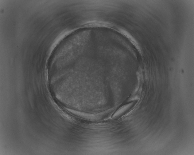 X0000073391376200608251423