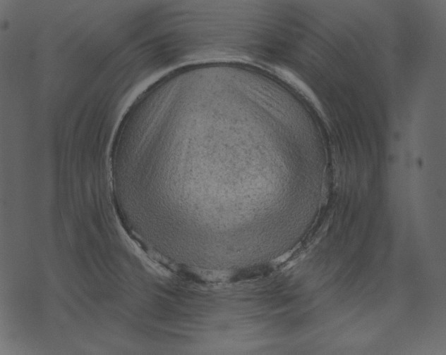 X0000073391380200608251423