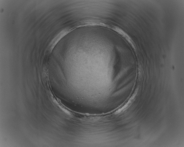 X0000073391385200608251423