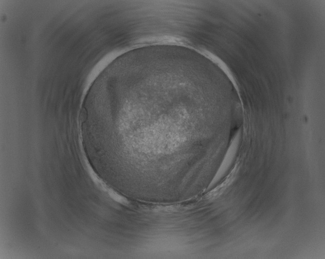 X0000073391389200608251423