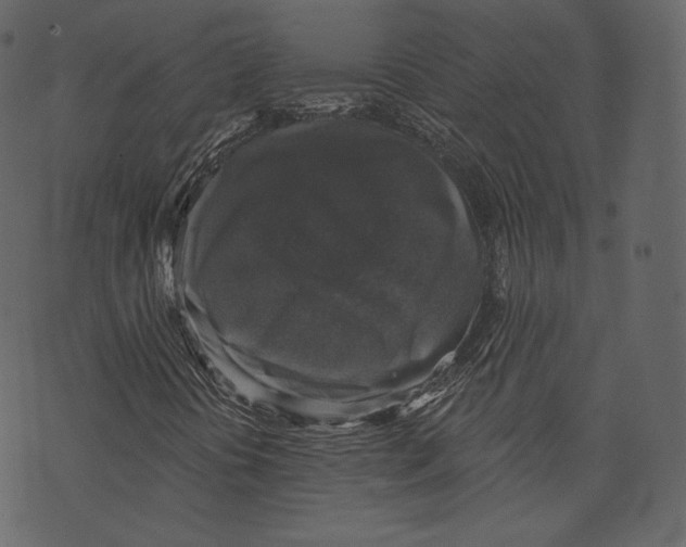 X0000073391394200608251422