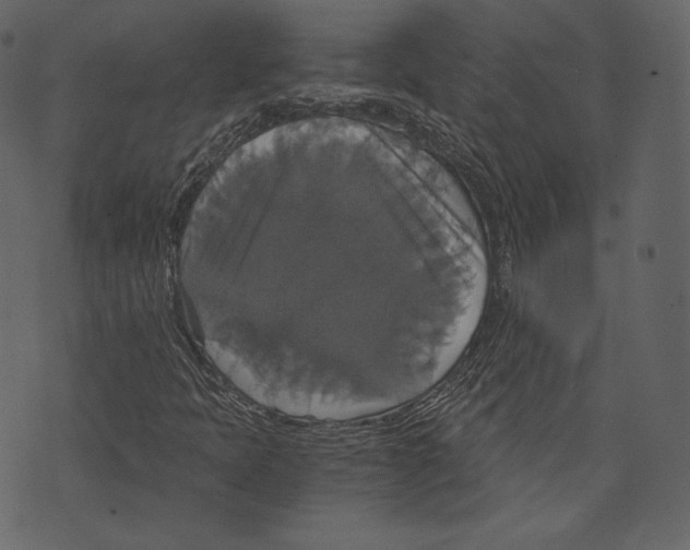 X0000073391397200608251422