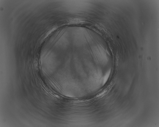 X0000073391401200608251422