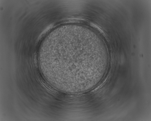 X0000073391403200608251422