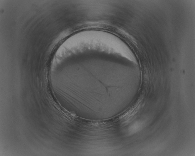 X0000073391411200608251422