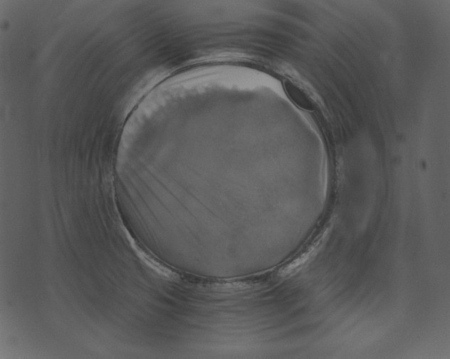 X0000073391425200608251423