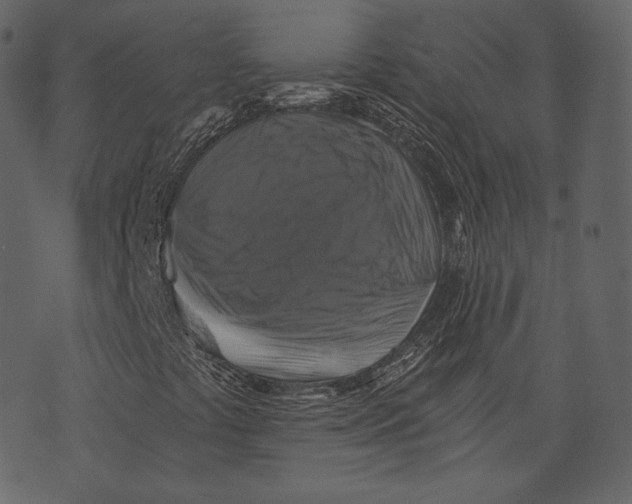 X0000073391441200608251422