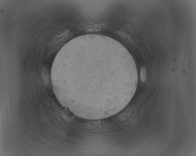 X0000073391444200608251422