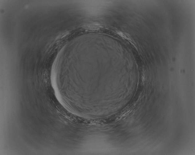 X0000073391445200608251422