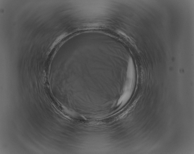 X0000073391449200608251422