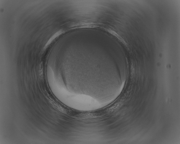 X0000073391450200608251422