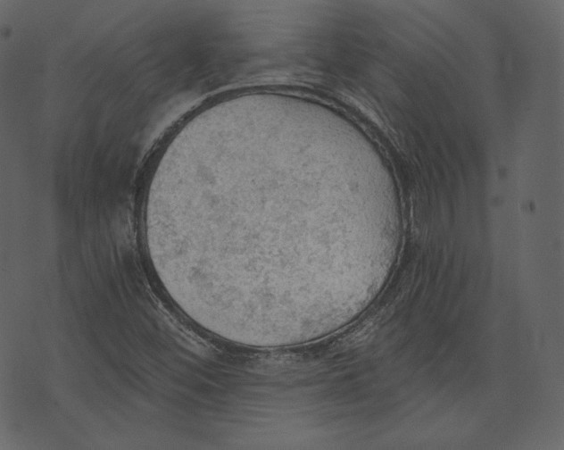 X0000073391452200608251422