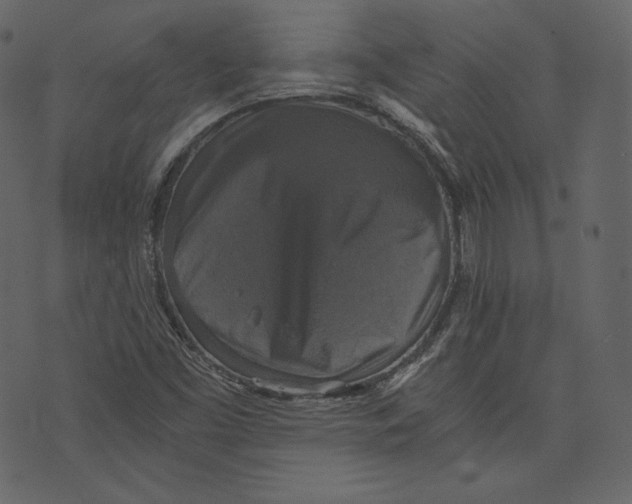 X0000073391453200608251422