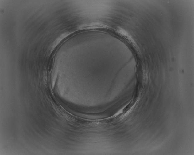 X0000073391457200608251422