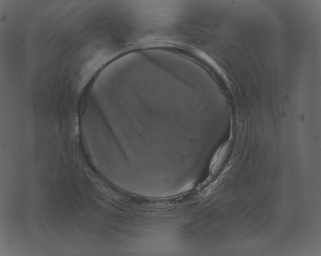 X0000073391461200608251422