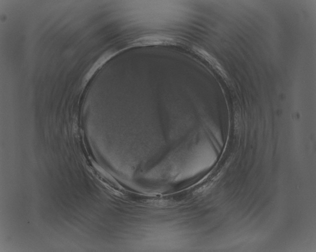 X0000073391465200608251422