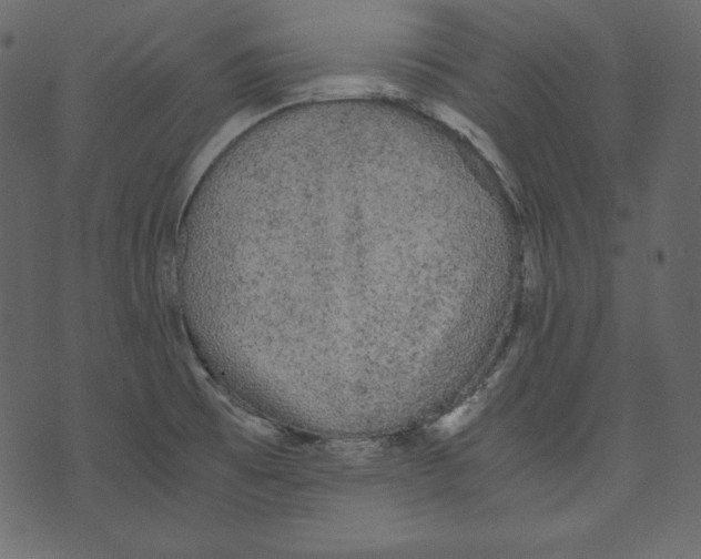 X0000073391473200608251422