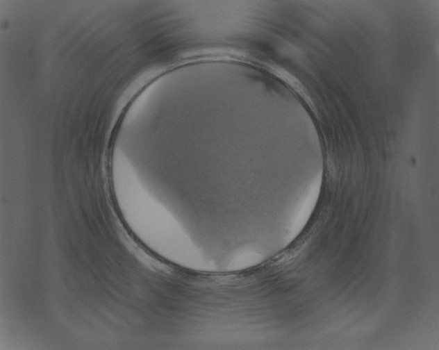 X0000073391482200608251421