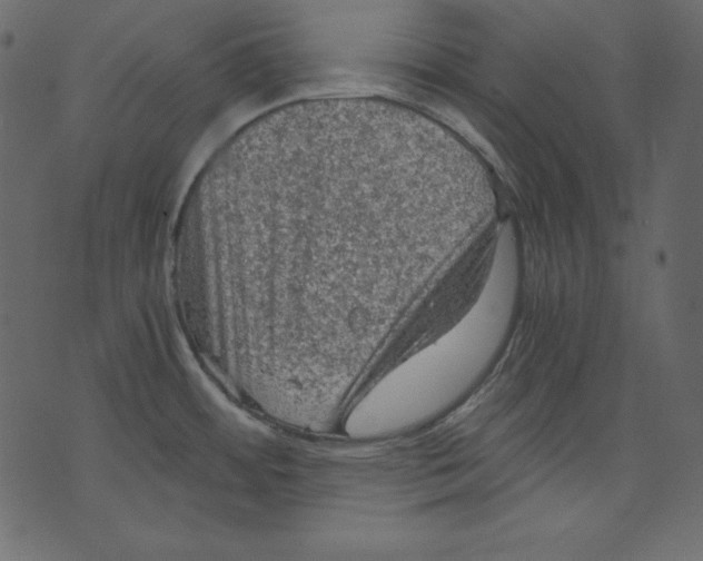 X0000073391484200608251421