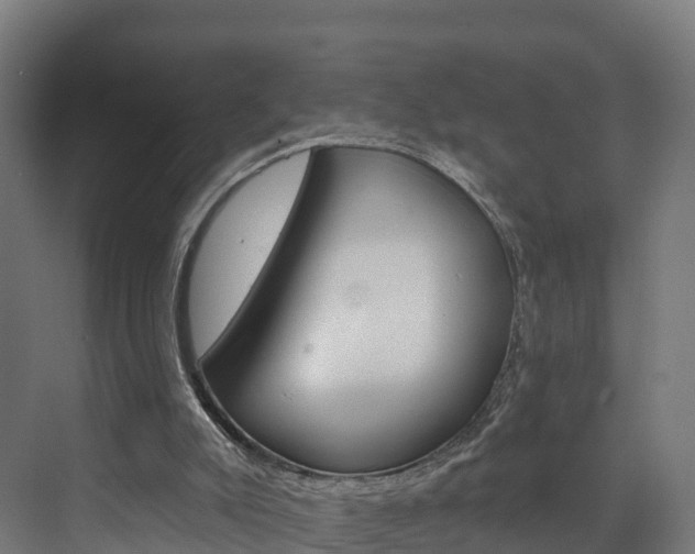X0000073400007200607280947