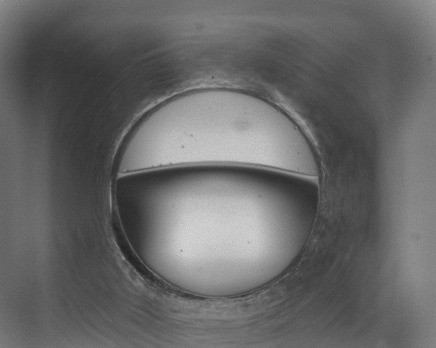 X0000073400011200607280946