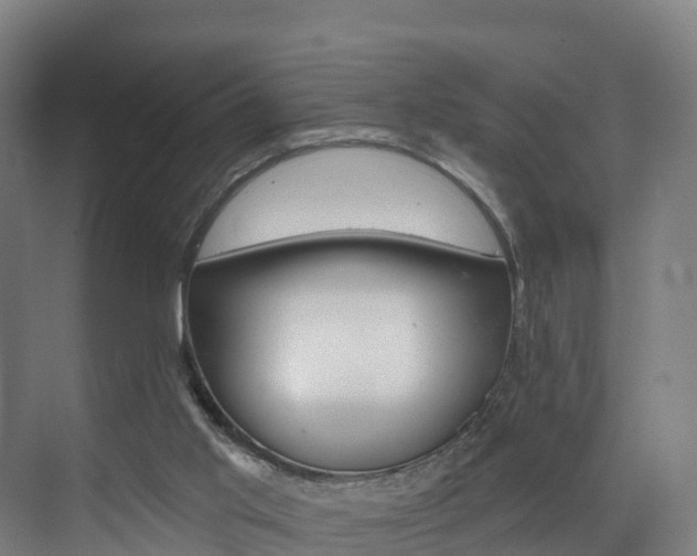 X0000073400013200607280946
