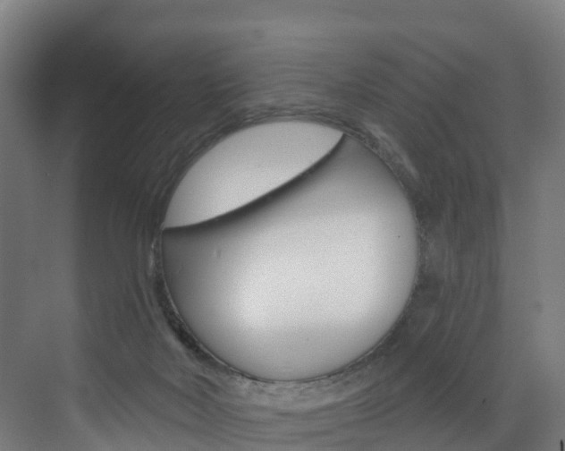 X0000073400026200607280946