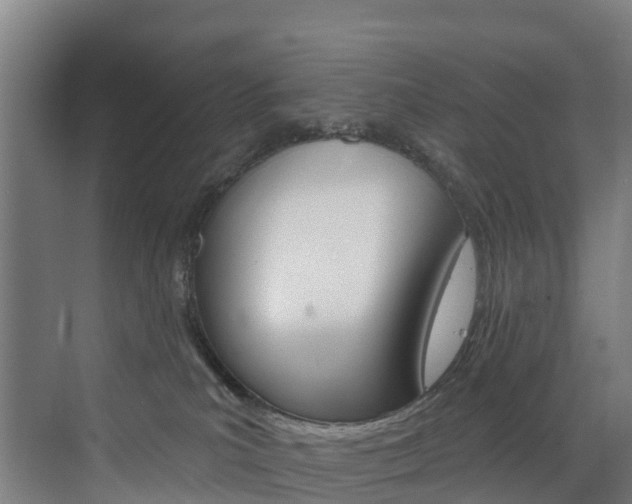 X0000073400039200607280946
