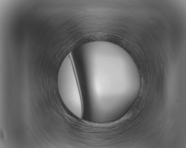 X0000073400048200607280946