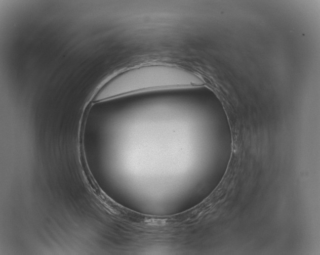 X0000073400052200607280945