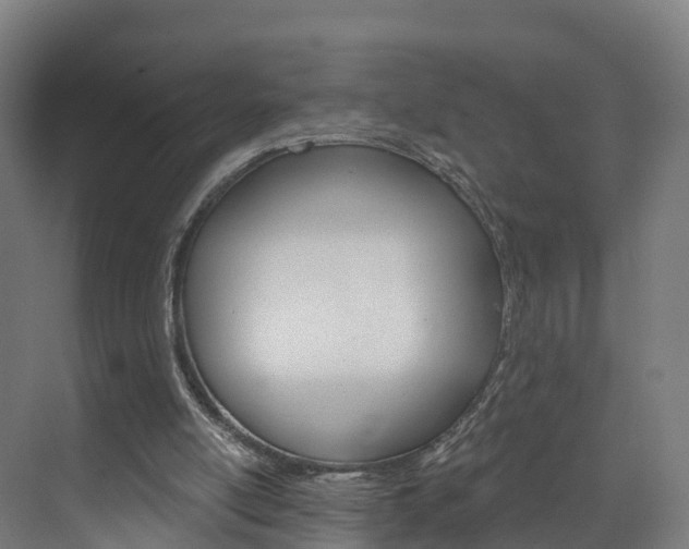 X0000073400054200607280945