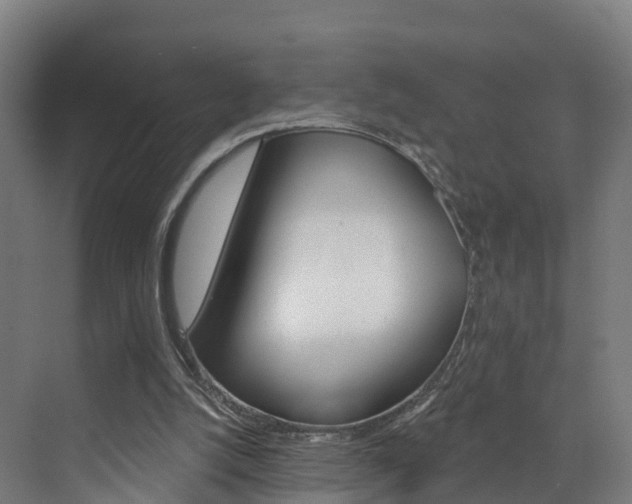 X0000073400056200607280945