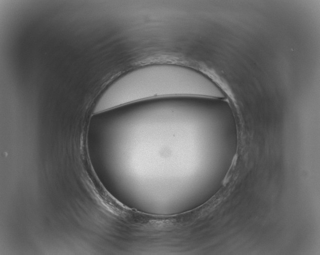 X0000073400057200607280945