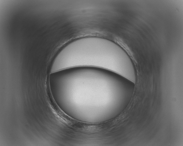 X0000073400058200607280945