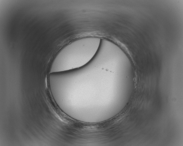 X0000073400061200607280945