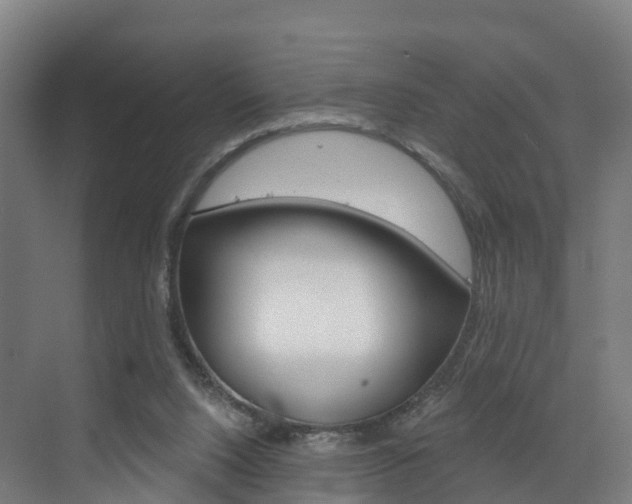 X0000073400064200607280945