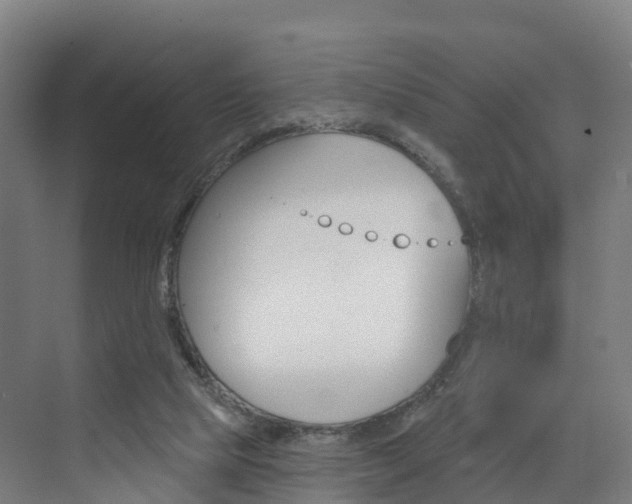X0000073400065200607280945