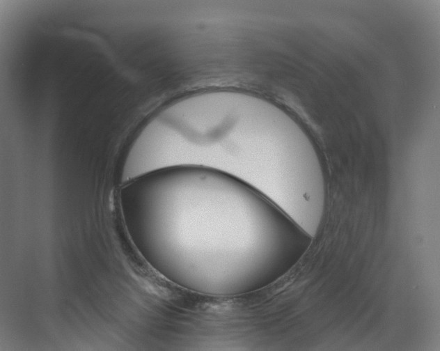 X0000073400068200607280945