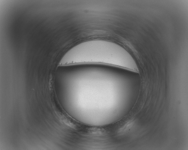 X0000073400073200607280945